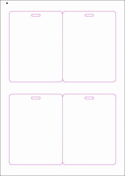 Zugangsausweis-Etiketten 90x120 mm, DIN AA, weiss, matt, permanent klebend - SE70-15265P