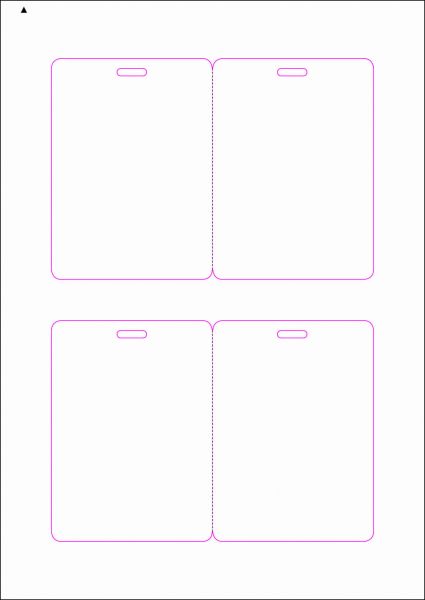 Zugangsausweis-Etiketten 80x110 mm, DIN AA, weiss, matt, permanent klebend - SE70-15015P